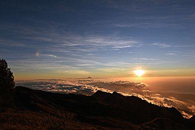 《代号：无限大》国产都市开放世界亮相TGS，外媒：期待上线！